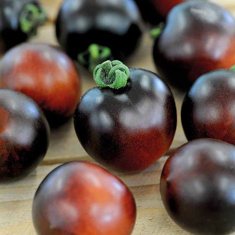 Tomato Indigo Cherry Drops Seeds