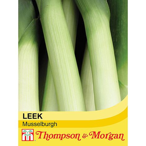 Leek Musselburgh Seeds