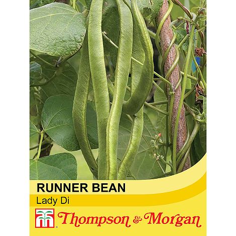 Runner Bean Lady Di Seeds