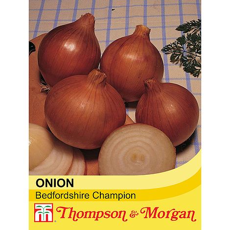 Onion Bedfordshire Champion Seeds
