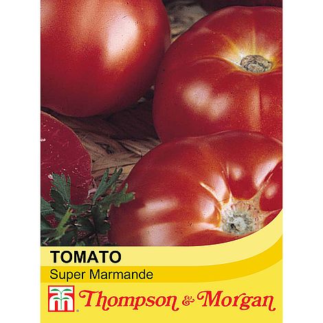 Tomato Super Marmande Seeds