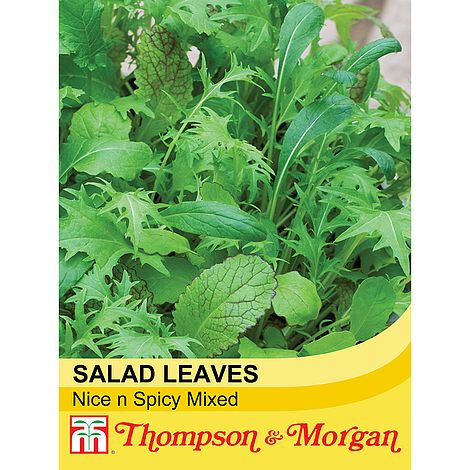Salad Leaves Nice n Spicy Mixed Seeds