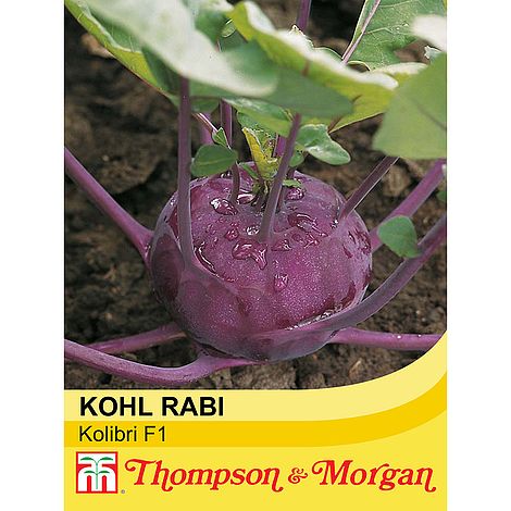 Kohl Rabi Kolibri F1 Seeds
