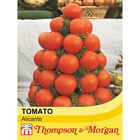 Tomato Alicante Seeds