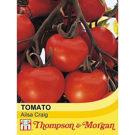 Tomato Ailsa Craig Seeds