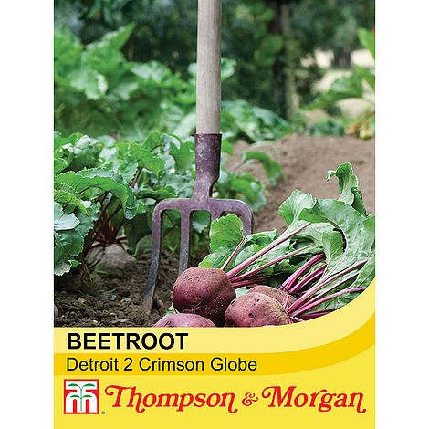 Beetroot Detroit 2 Crimson Globe Seeds