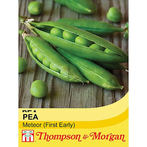 Pea Meteor Seeds
