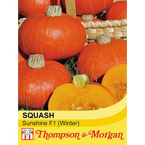 Squash Sunshine F1 (Winter) Seeds
