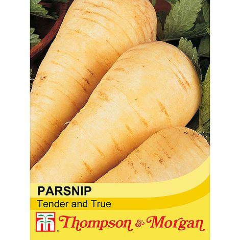 Parsnip Tender & True Seeds
