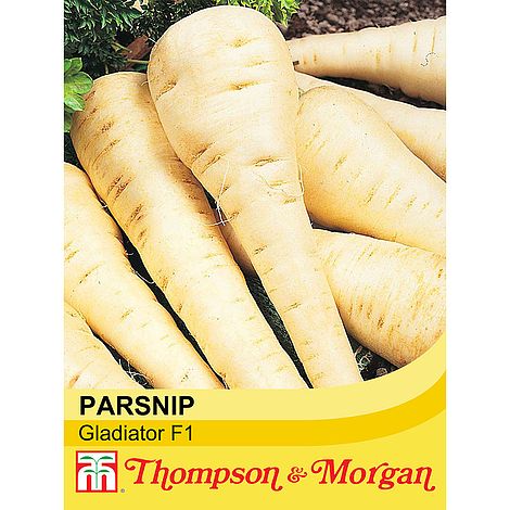 Parsnip Gladiator F1 Seeds