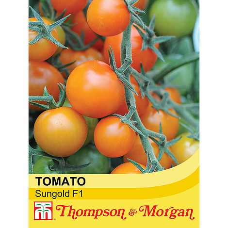 Tomato Sungold F1 Hybrid Seeds