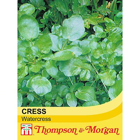 Watercress Seeds