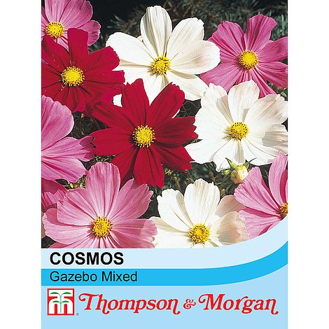 Cosmos Gazebo Mixture Flower Seeds