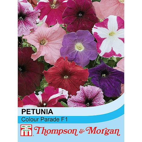 Petunia Colour Parade Mixed F1 Hybrid