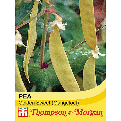 Mangetout Golden Sweet Seeds