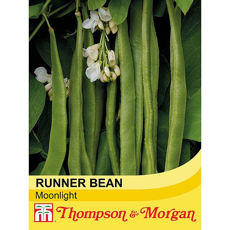 Runner Bean Moonlight Seeds
