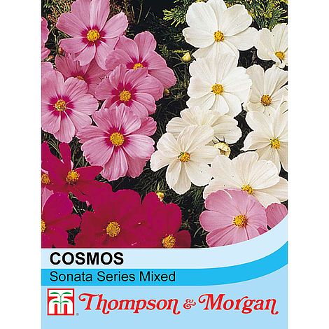Cosmos Sonata Mixed Flower Seeds
