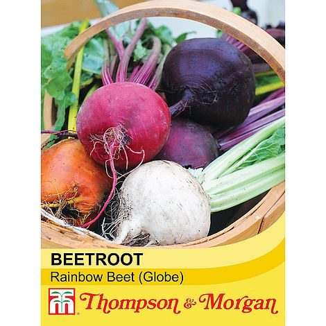 Beetroot Rainbow Beet Seeds