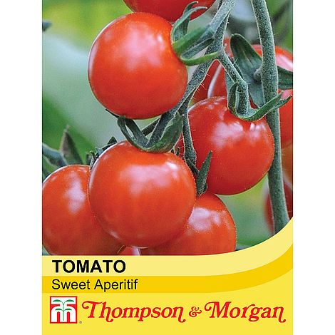 Tomato Sweet Aperitif Seeds