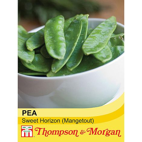 Mangetout Sweet Horizon Seeds