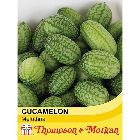 Cucamelon Seeds