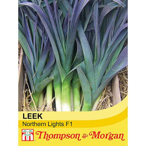 Leek Northern Lights F1 Seeds