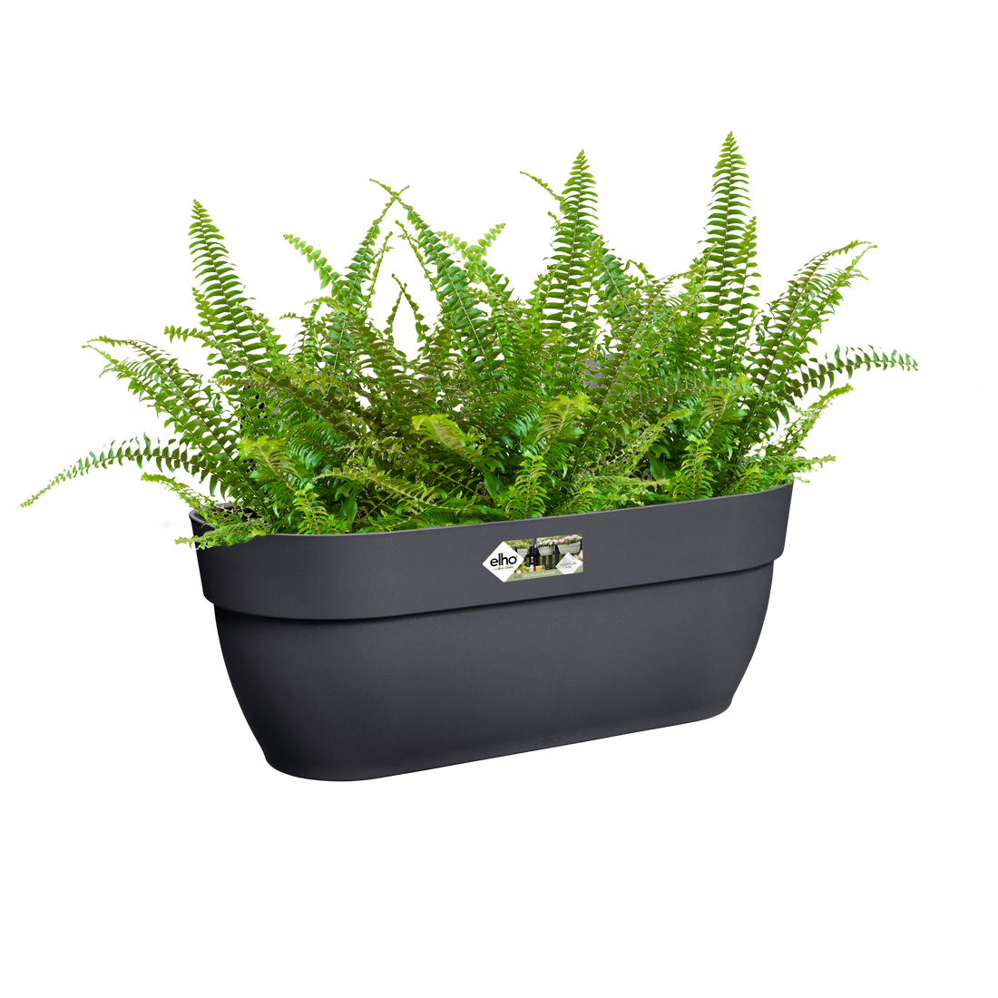 Vibia Campana Easy Hanger Large Anthracite | Cornwall Garden Shop | UK