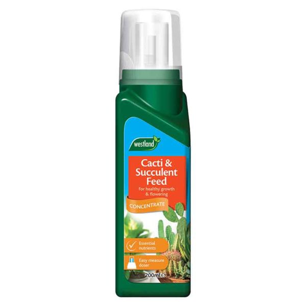 Westland Cacti & Succulent Feed Concentrate 200ml | Cornwall Garden Shop | UK