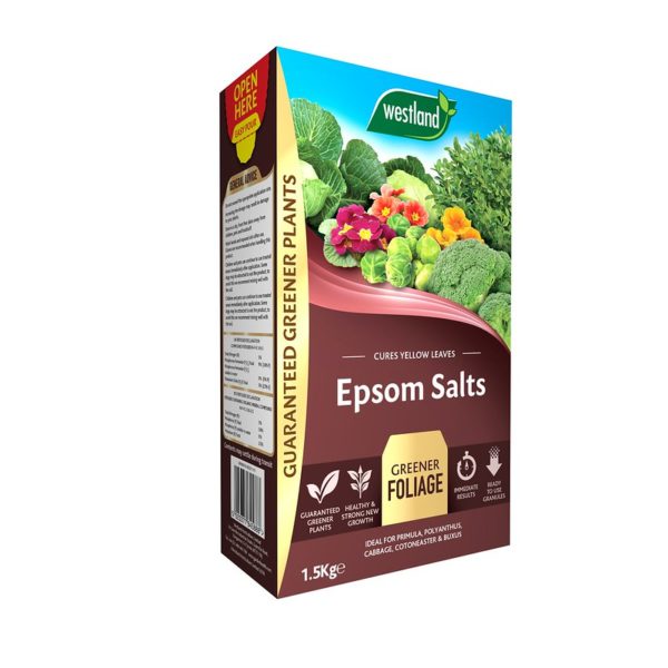 Westland Epsom Salts 1.5kg | Cornwall Garden Shop | UK