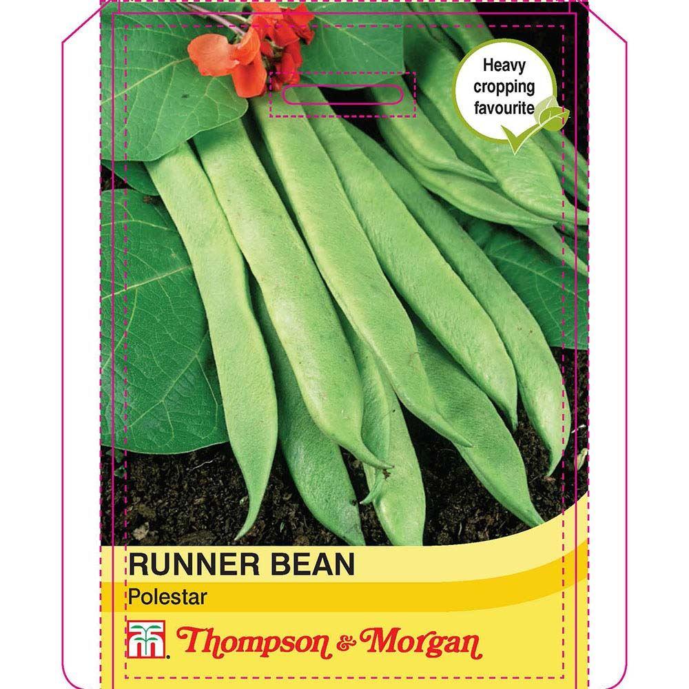Runner Bean Polestar Seeds