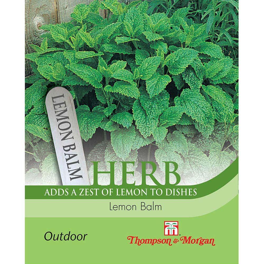 Lemon Balm Herb Seeds