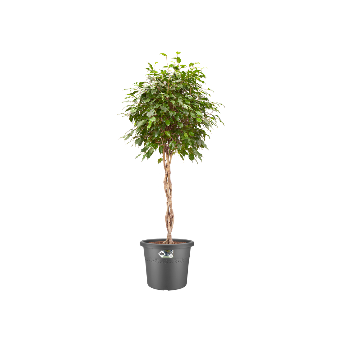 Algarve Cilindro 21cm Anthracite