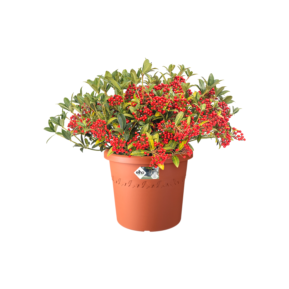 Algarve Cilindro 21cm Terra | Cornwall Garden Shop | UK