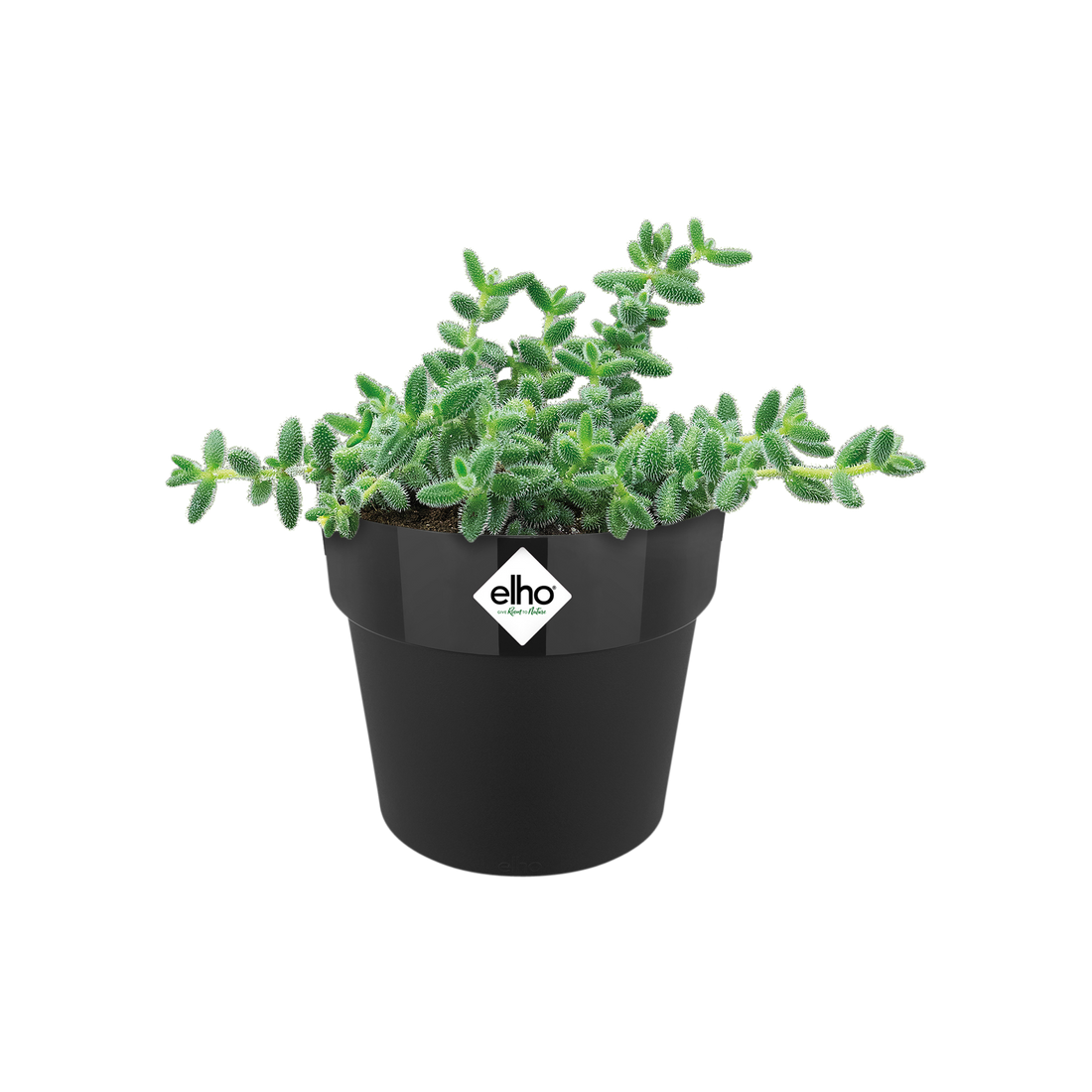 b.For Original Round Mini 11cm Living Black