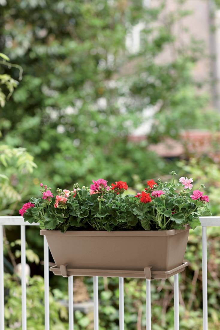 Barcelona Trough 50cm Taupe