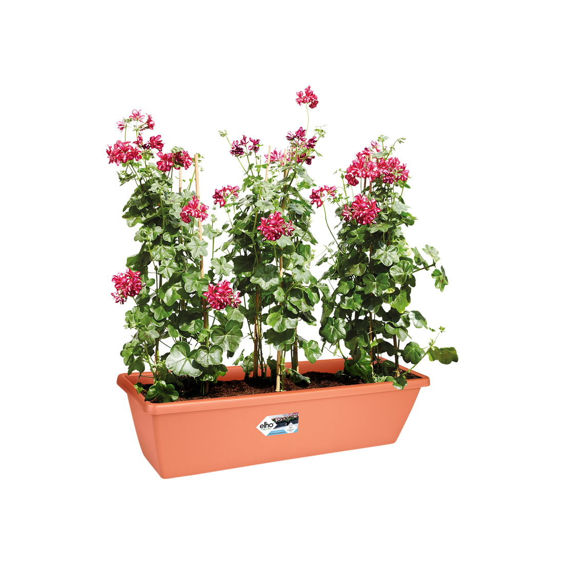 Barcelona XL 80cm Terra | Cornwall Garden Shop | UK