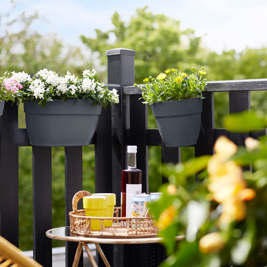 Vibia Campana Easy Hanger Small Anthracite | Cornwall Garden Shop | UK