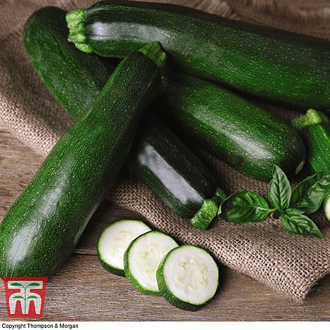 Courgette Black Beauty Organic Vegetable Seeds