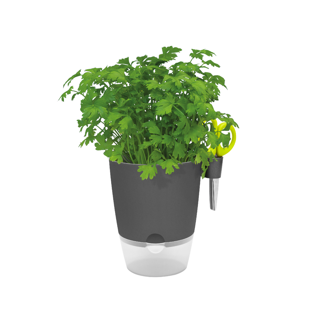 Brussels Herbs All in 1 13cm Anthracite | Cornwall Garden Shop | UK