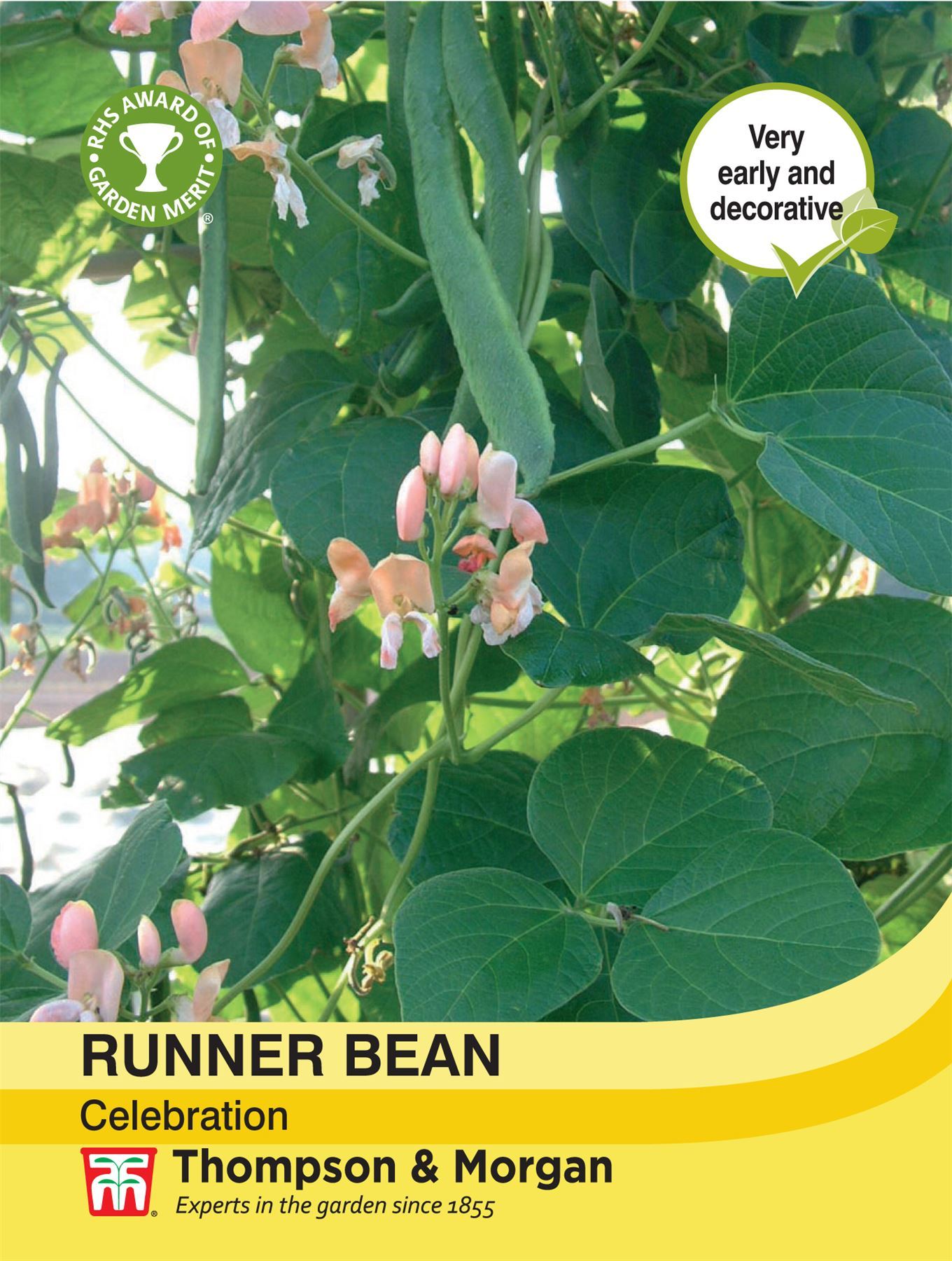 Runner Bean Celebration Seeds
