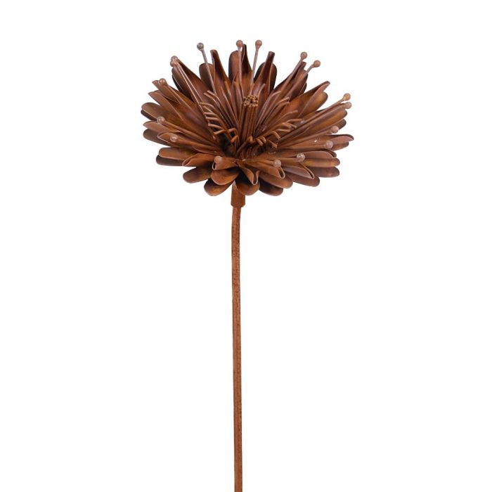 Stake Aster Rustic 1.45m