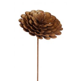 Stake Hydrangea Rustic 1.45m