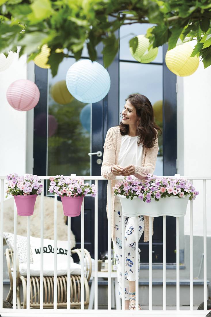 Corsica Easy Hanger Single Outdoor Pot Vivid Violet | Cornwall Garden Shop | UK