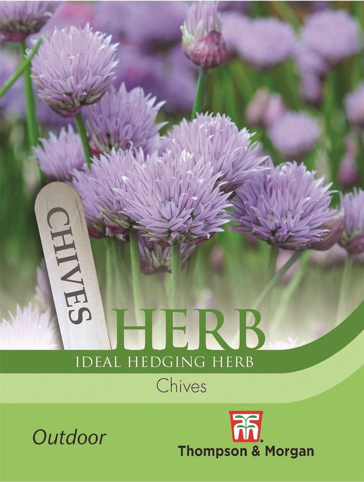 Chives Herb Seeds