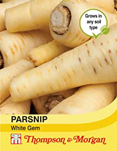Parsnip White Gem Seeds