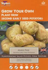 Maris Peer Second Early Seed Potatoes (10)
