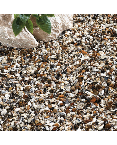 Moonstone Flint | Cornwall Garden Shop | UK