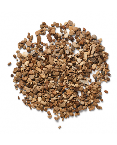 Autumn Gold | Cornwall Garden Shop | UK