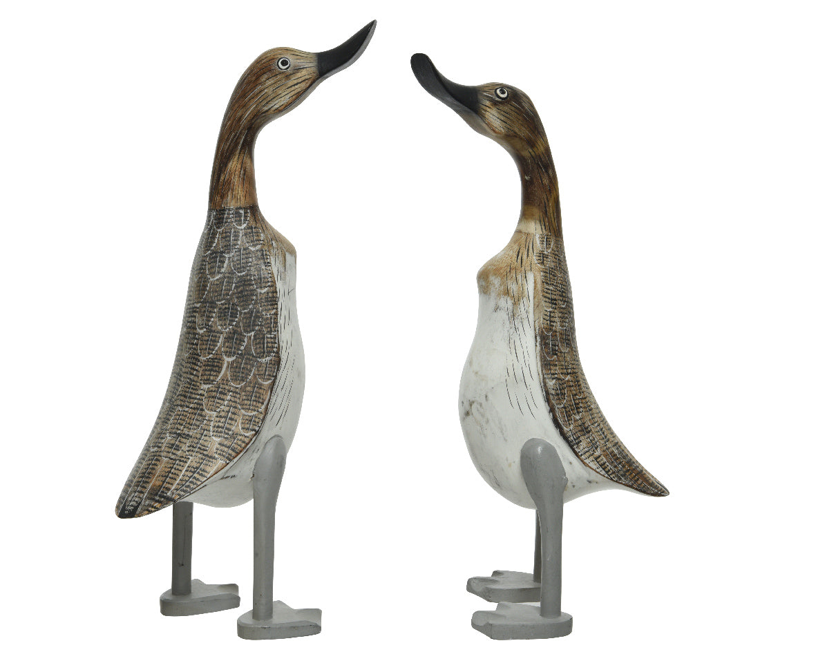 Duck Albesia Wood