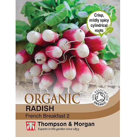 Radish French Breakfast 2 (Organic) Seeds